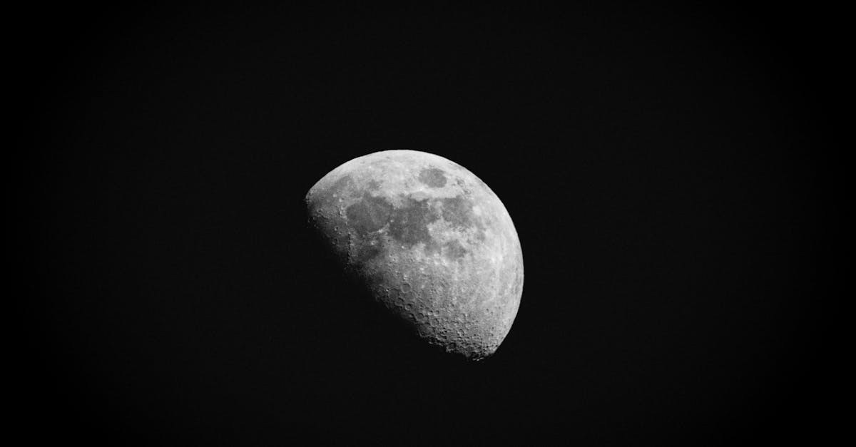 copertina-1292