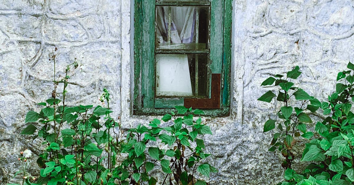 copertina-1448