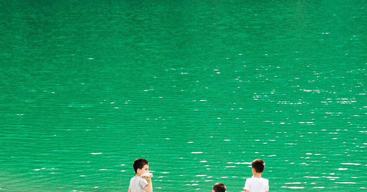 copertina-2231