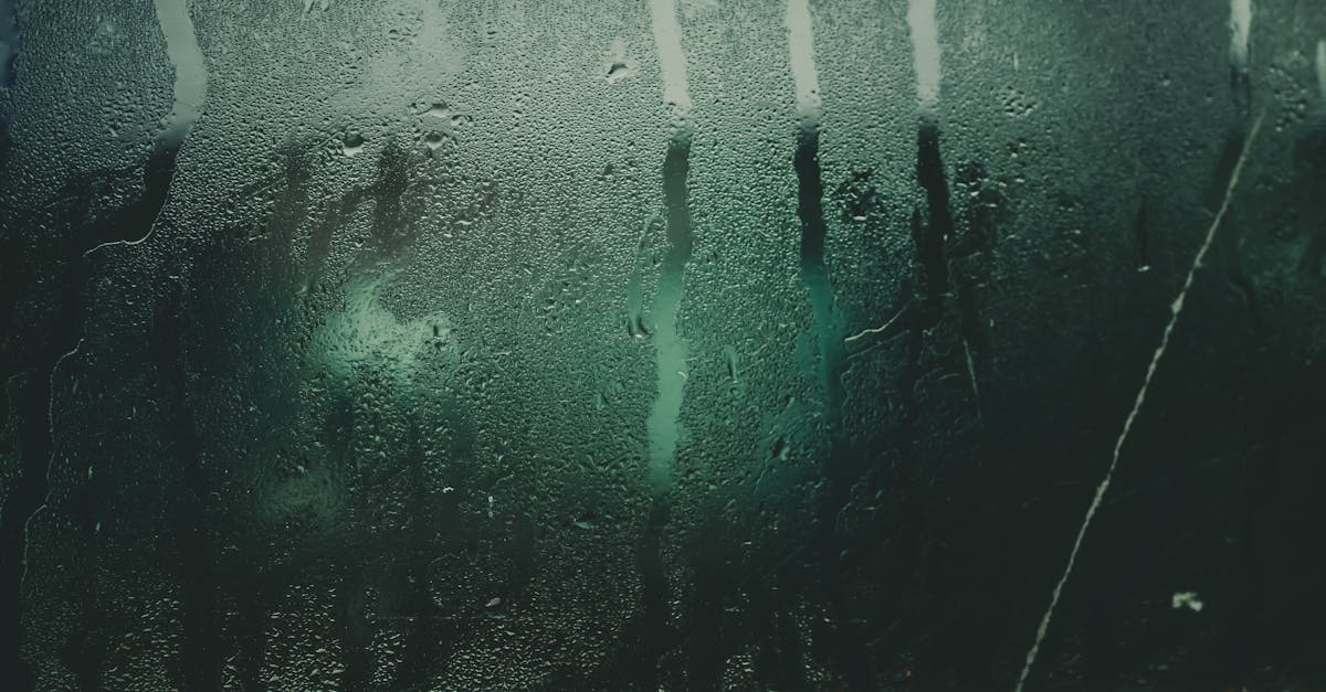 copertina-2417